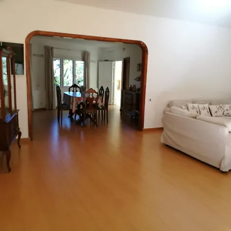 Castano Bajo - * Santa Brigida (Gran Canaria)