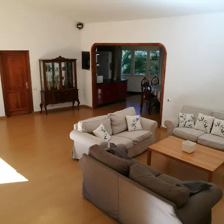 Castano Bajo - Santa Brigida (Gran Canaria)