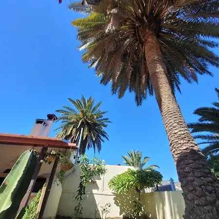 Castano Bajo - * Santa Brigida (Gran Canaria)